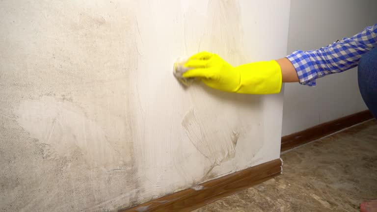 Mold Remediation for Vacation Homes in Greencastle, PA