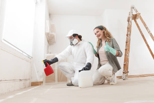 Best Black Mold Removal  in Greencastle, PA