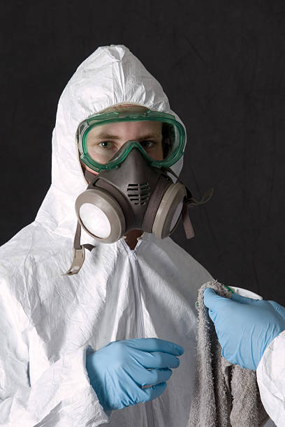  Greencastle, PA Mold Removal Pros